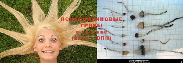 spice Армянск